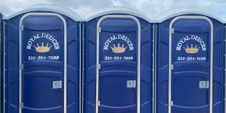 Types of Portable Toilets We Offer in Swepsonville, NC